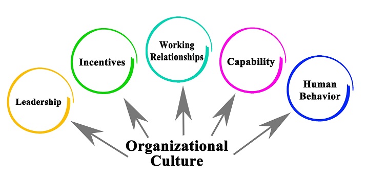 The Impact of Organizational Culture on Business Development: Top 10 Insights from Industry Leaders. Training and Workshops Available.