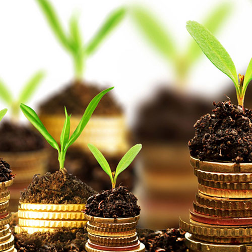 Financing of Agribusiness Value Chains Training