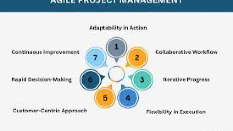 Adaptive Agile Project Management and Analysis Training Course