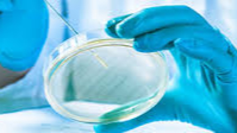 Advanced Biofilm Control in Bioprocessing Training Course