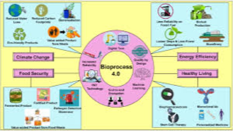 Advanced Bioprocess Economics and Cost Modeling Training Course