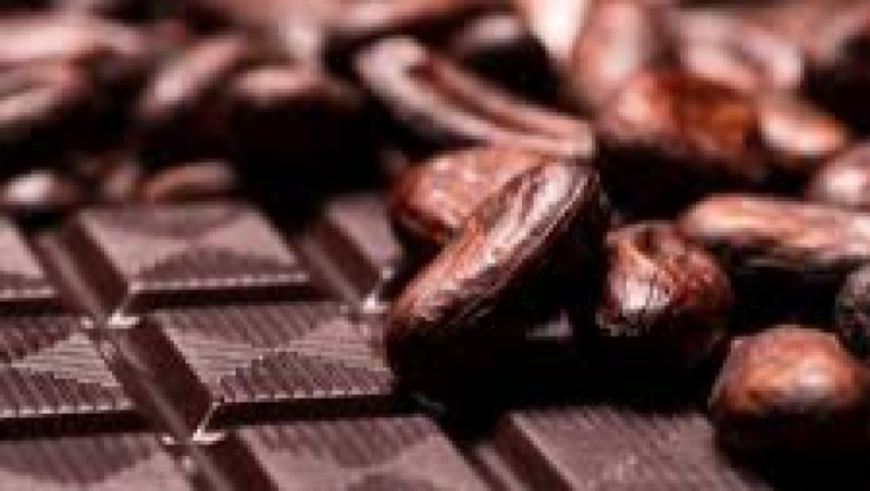 Advanced Chocolate and Cocoa Bean Technology Training