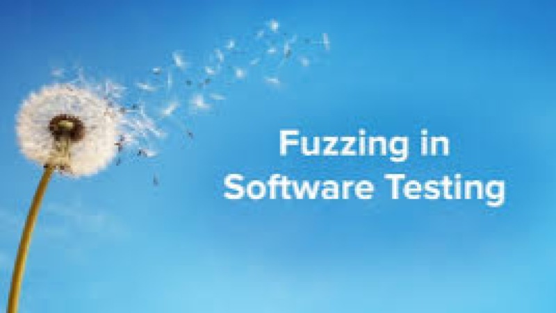 Advanced Fuzzing Techniques for Software Testing Training Course