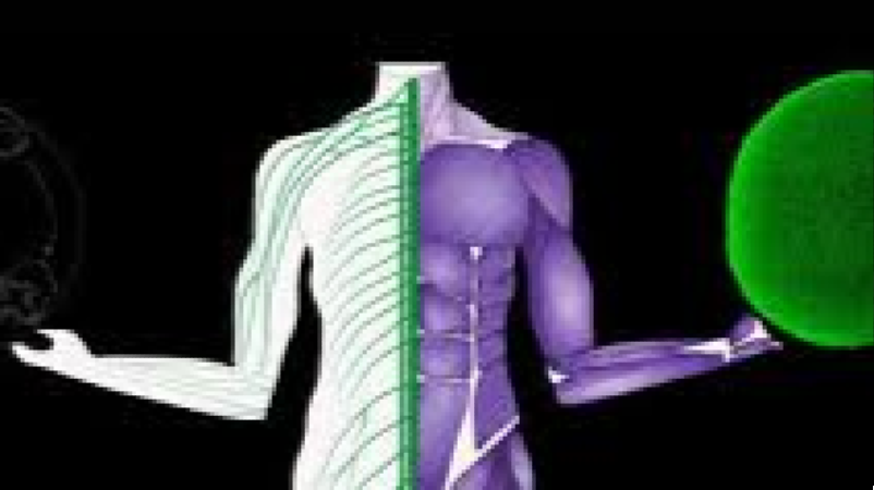 Advanced Organoid Technology for Drug Screening Training Course