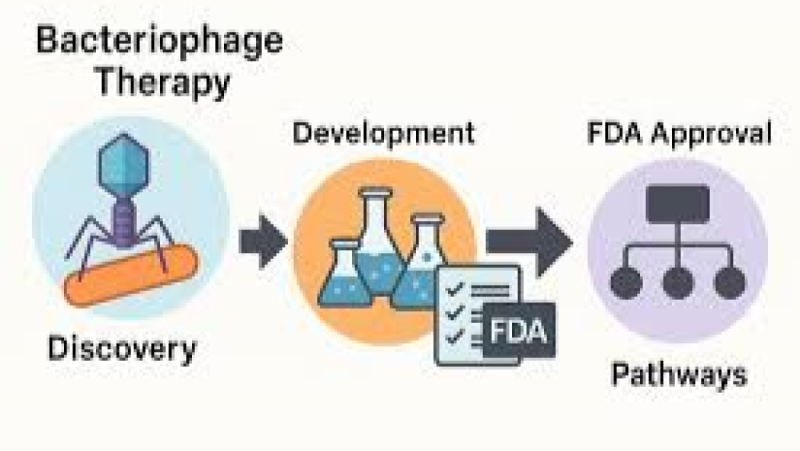 Advanced Phage Therapy and Biologics Training Course