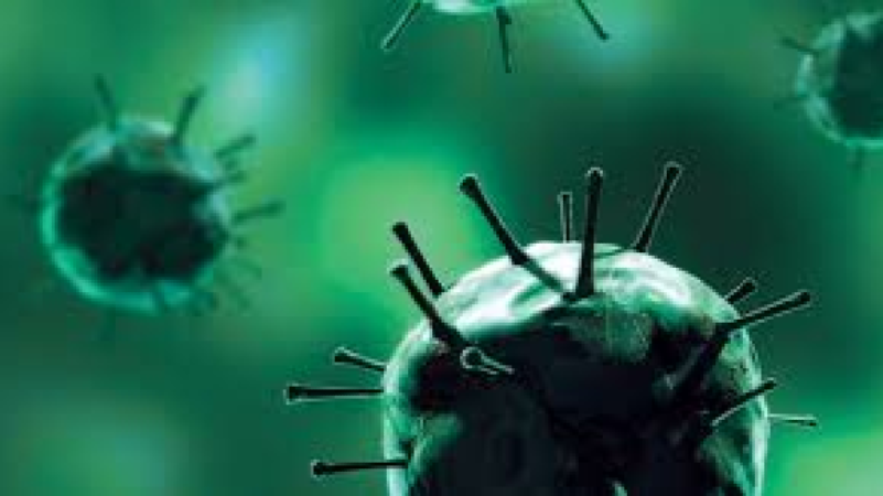 Advanced Strategies for Viral Clearance and Safety Training Course