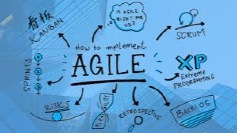 Agile Practices for Organizational Excellence and Sustainability Training Course