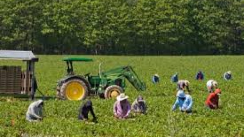 Agriculture & Rural Innovation Policies Training Course