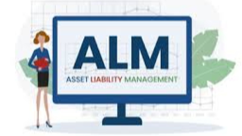 ALM (Asset-Liability Management) in Microfinance Training Course