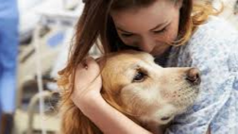 Animal Assisted Therapy Basics Training Course