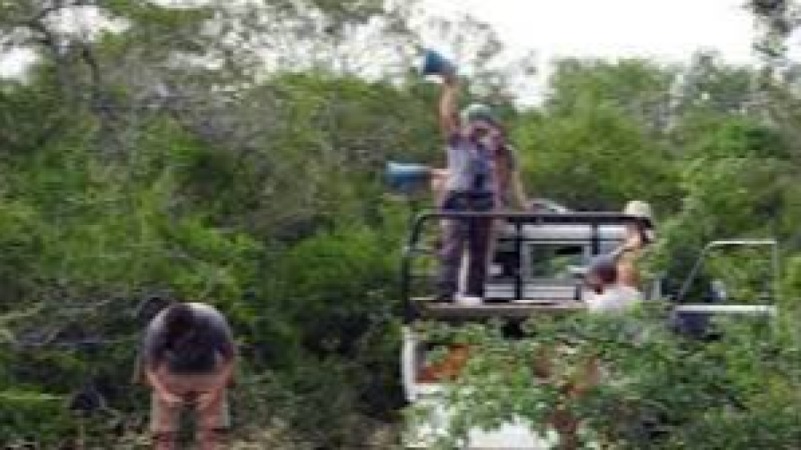 Applied Conservation Genetics for Species Management Training Course