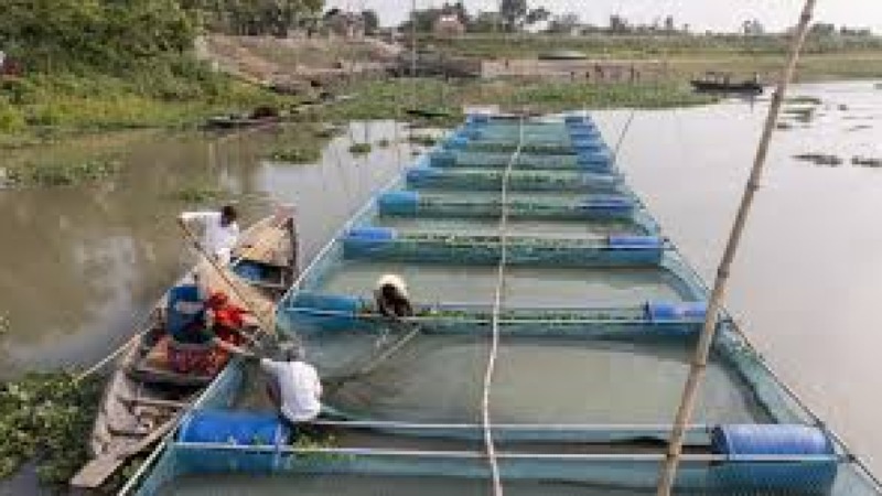 Aquaculture Fundamental Practices Training Course