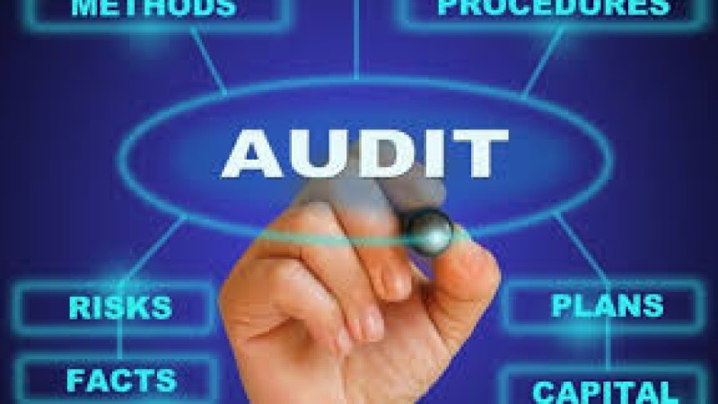 Auditing Project Controls Training Course