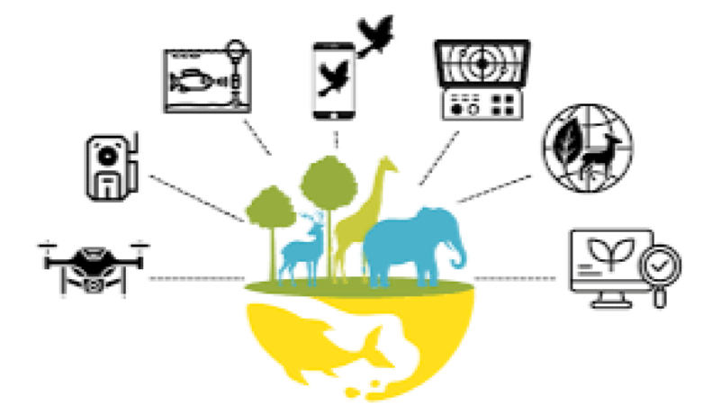 Biodiversity Monitoring Tools Training Course