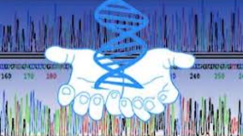 Bioinformatics in Veterinary Science Training Course