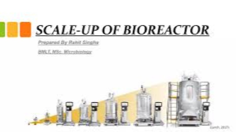 Bioreactor Scale-Up and Technology Transfer Training Course