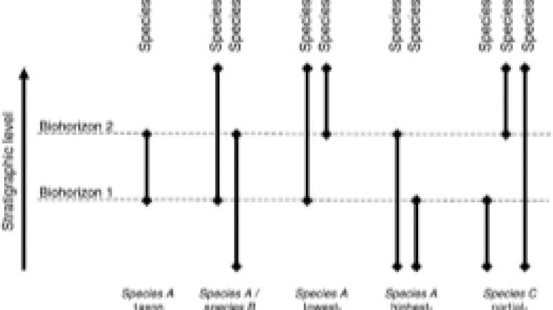Biostratigraphy Laboratory Techniques Training Course