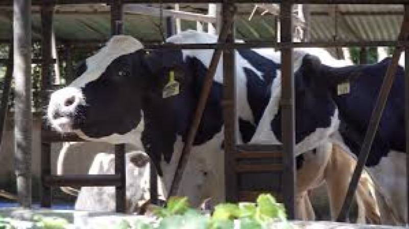 Breeding Technologies in Livestock Training Course