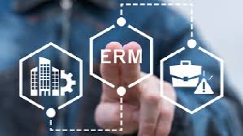 Building an ERM Program for Executives Training Course