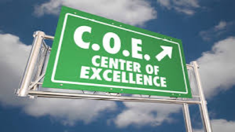 Building an ERP Center of Excellence (CoE) Training Course