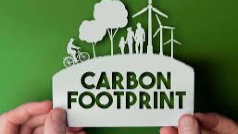 Carbon Footprint Calculation and Reduction Strategies Training Course