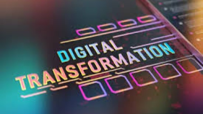 Change Management in Microfinance Digital Transformation Training Course