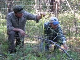 Citizen Science Data Management and Analysis Training Course