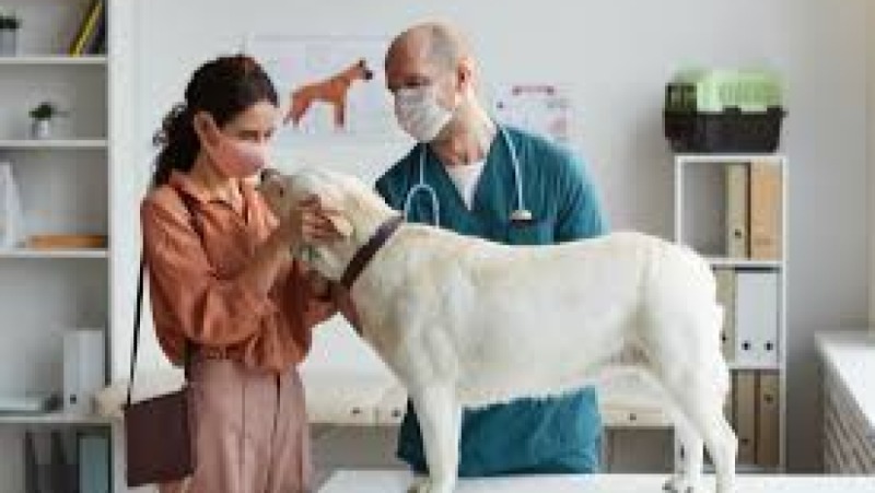 Client Communication for Vets Training Course