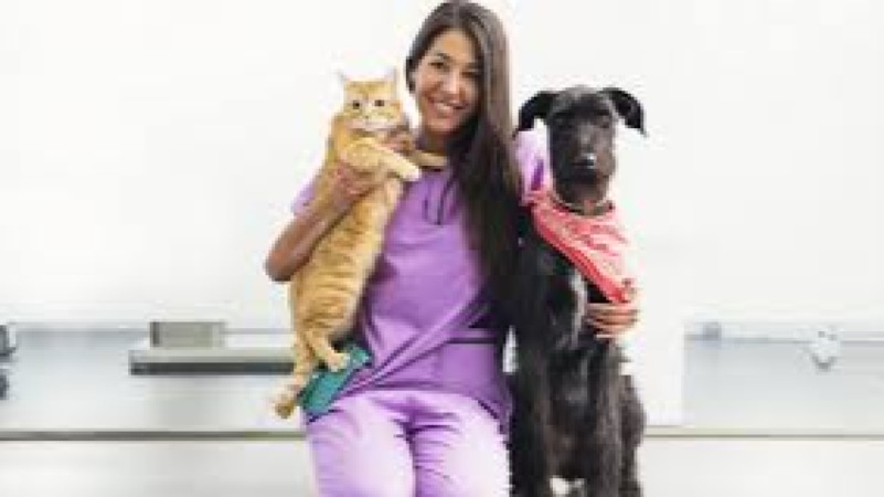 Companion Animal Healthcare Training Course
