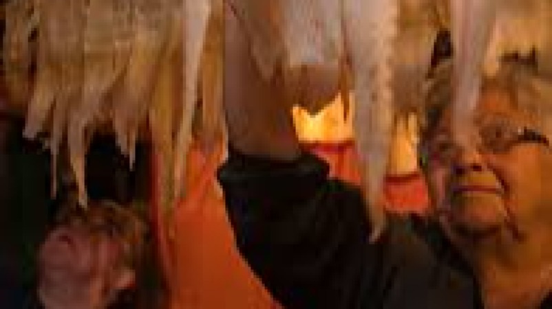 Conservation Biology Masterclass Training Course