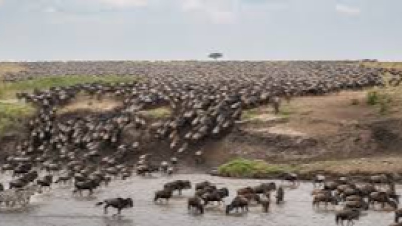 Conservation Photography and Storytelling Training Course