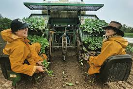 Cooperative Business Models and Management for Farmers