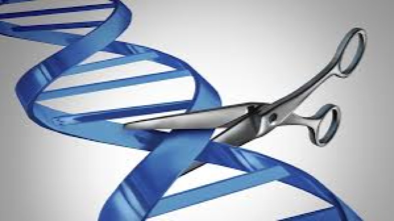 CRISPR and Genetic Editing for Animal Breeding Training Course