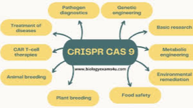 CRISPR-Cas9 Technology - Advanced Applications and Ethics Training Course