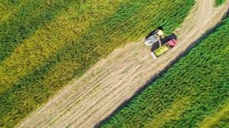 Cross-Sector Innovation: Agriculture, Energy & Finance Training Course