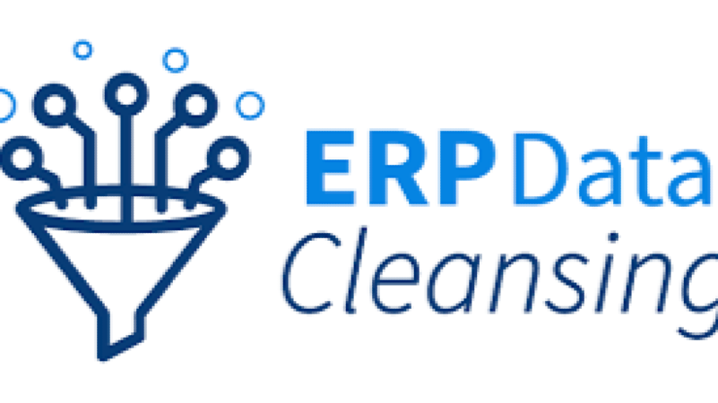 Data Cleansing and Deduplication for ERP Training Course