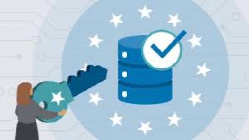 Data Governance for ERP Implementations Training Course