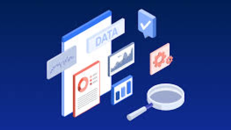 Data Quality Frameworks in M&E Training Course