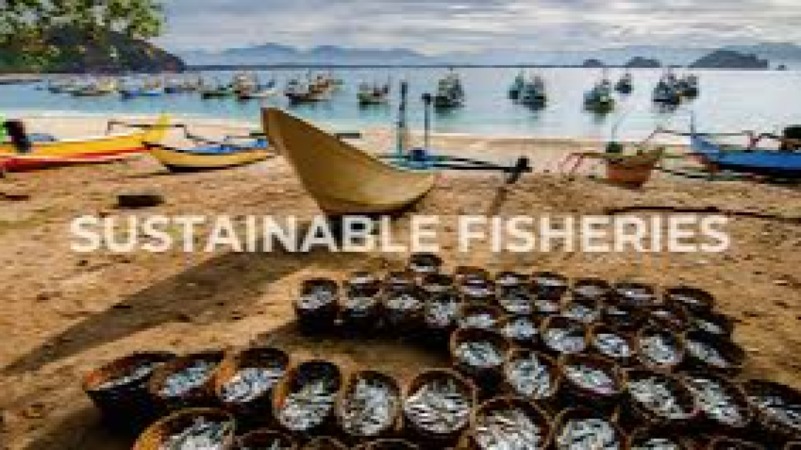 Developing and Launching Sustainable Seafood Alternatives Training Course
