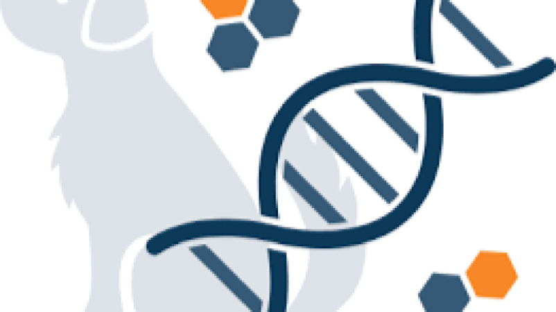 Digital Animal Health Solutions Training Course