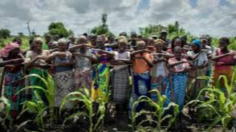 Disaster Risk Financing and Microfinance Training Course