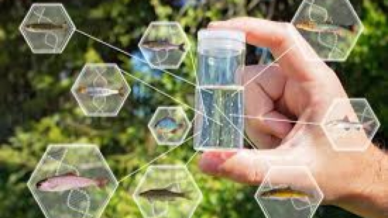 E-DNA Sampling for Aquatic Species Training Course