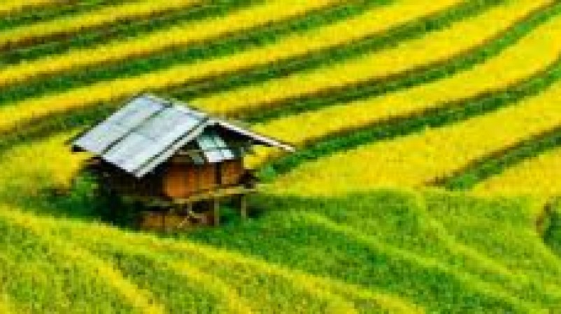 Ecological Economics Training Course