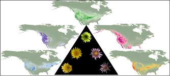 Ecological Niche Modeling and Species Distribution Training Course