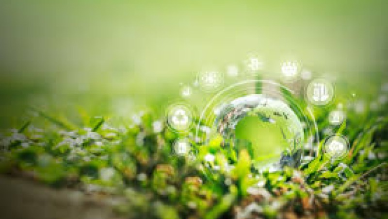 Ecology & Ecosystem Services Training Course