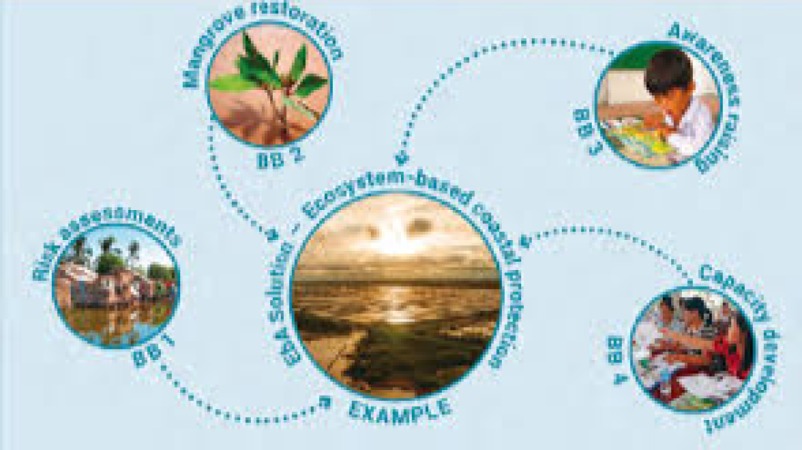 Ecosystem-Based Adaptation (EbA) Planning Training Course