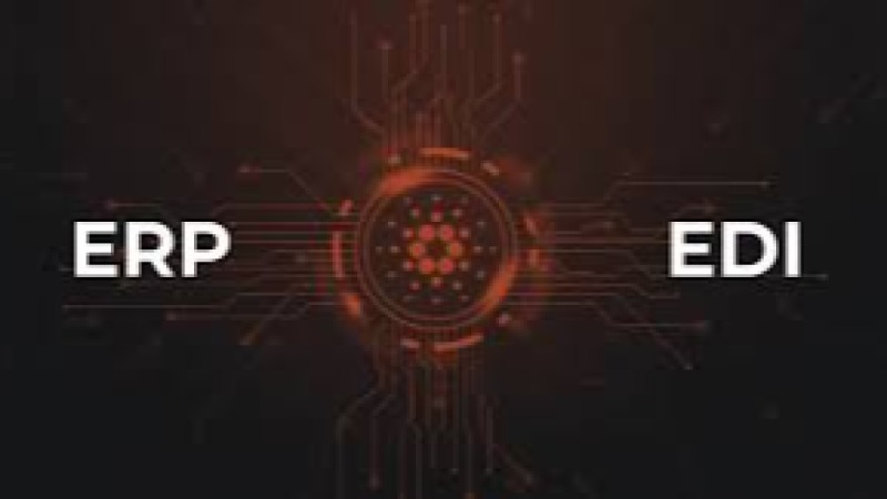 EDI Standards and Setup for ERP Integrations Training Course