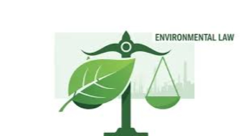Environmental Law and Policy Masterclass Training Course