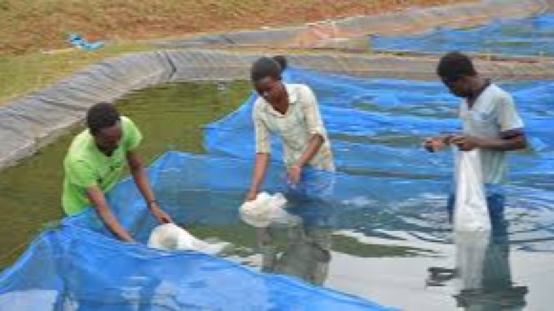 Environmental Monitoring in Aquaculture Training Course