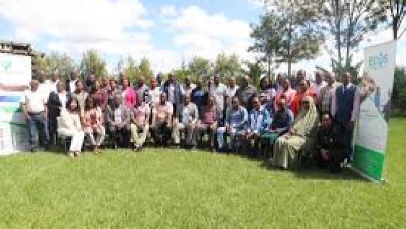 Environmental Taxes & Carbon Pricing Training Course